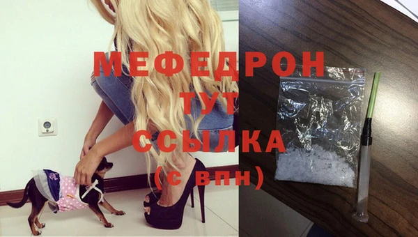 МДПВ Абаза